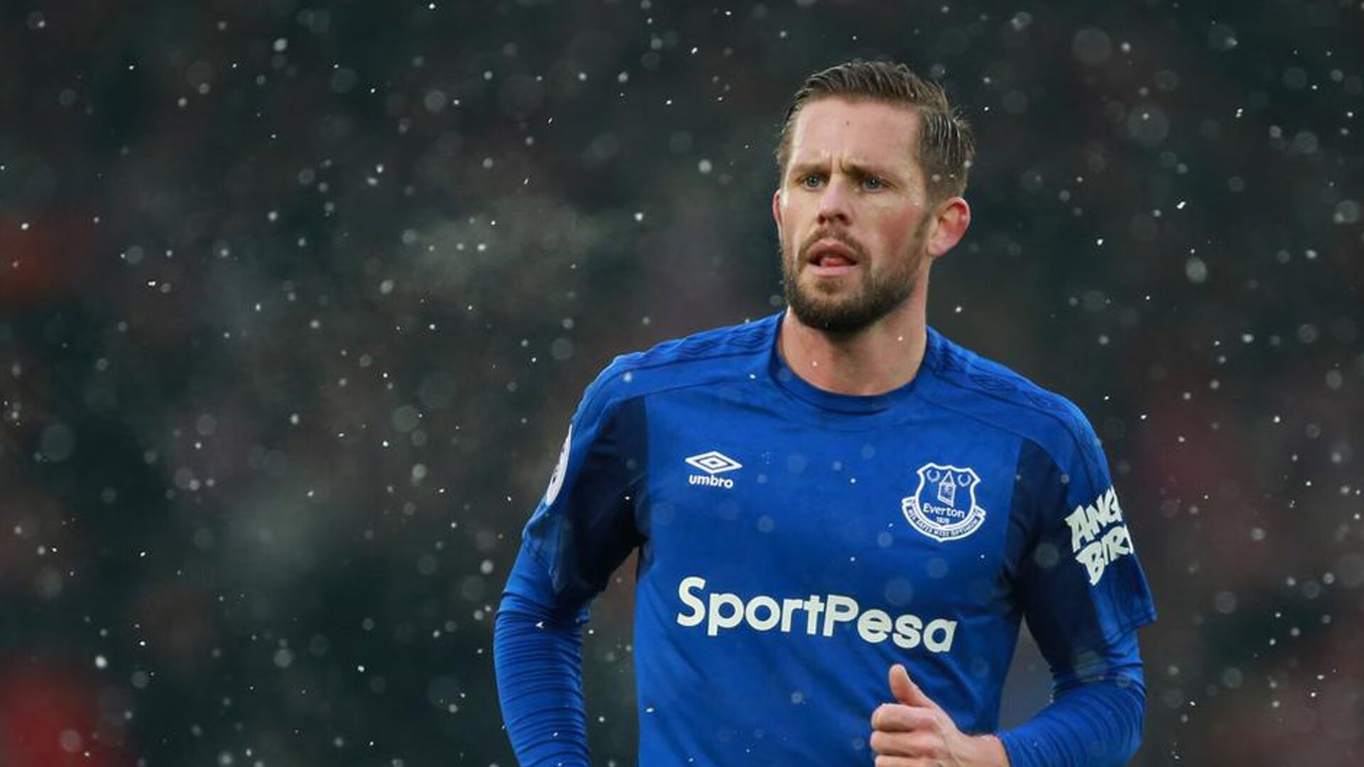 体育赛事观众增长原因